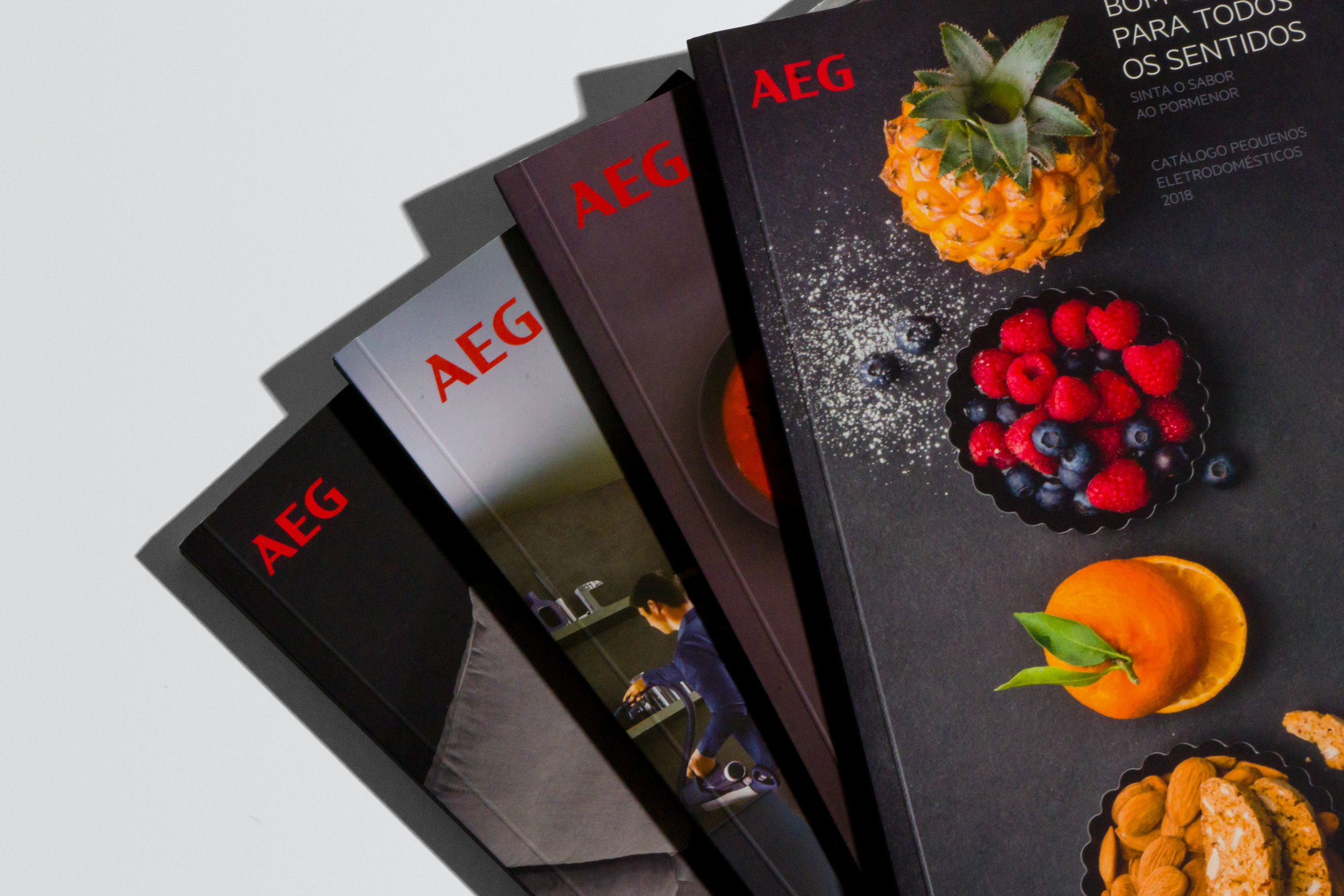 AEG — Catalogs 2019 F—S—A—C Agência de Comunicação